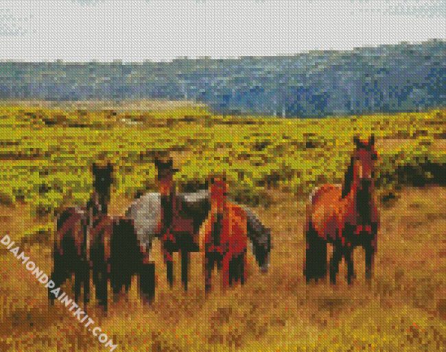 Brumby Horses diamond painting