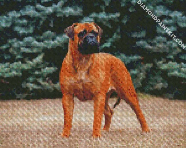 Bullmastiff diamond painting