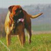 Bullmastiff Dog diamond painting