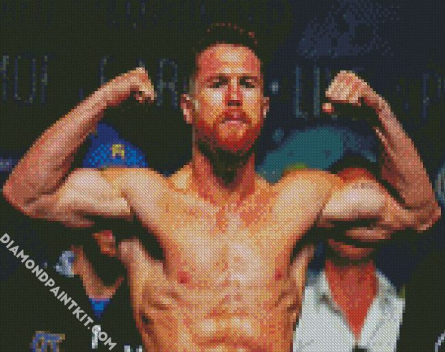 Canelo Alvarez diamond painting