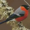 Eurasian Bullfinch diamond painting