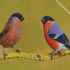 Eurasian Bullfinches diamond painting