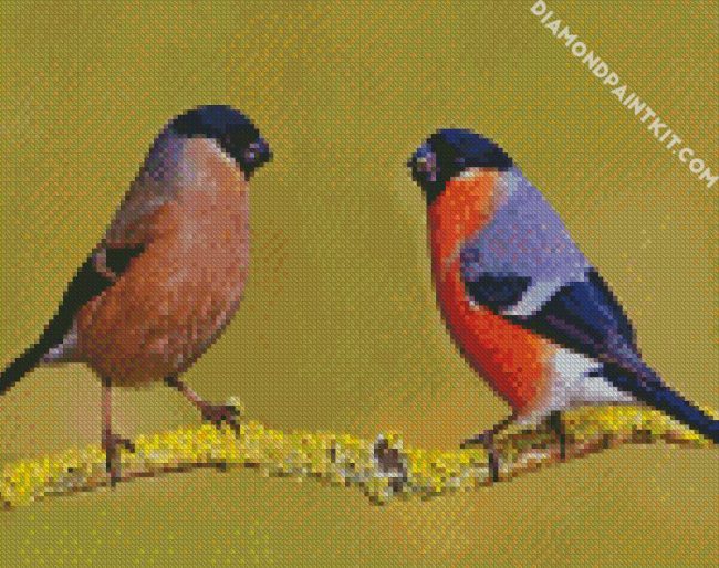 Eurasian Bullfinches diamond painting