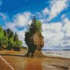 Hopewell Rocks Provincial Park Canada Landscape diamond painting