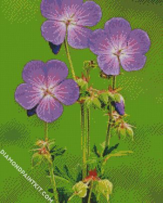 Meadow Cranesbill diamond painting