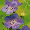 Meadow Cranesbill Wild Flowers diamond painting