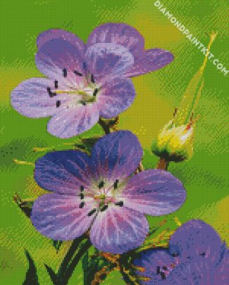 Meadow Cranesbill Wild Flowers diamond painting