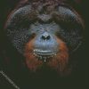 Orangutan Close Up Face diamond painting