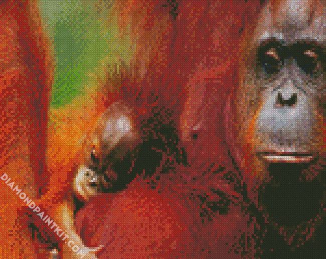 Orangutans Monkey diamond painting