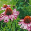 Purple Coneflower diamond painting