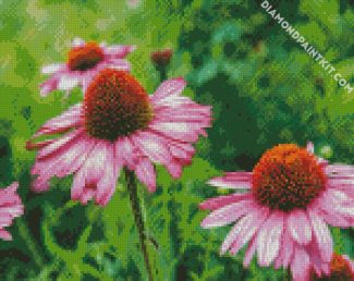 Purple Coneflower diamond painting