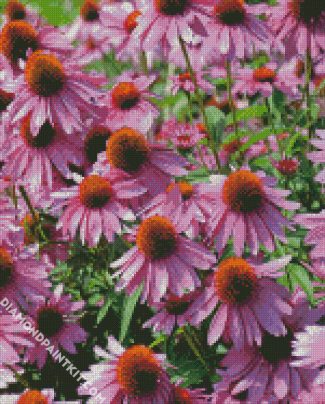 Purple Coneflower Wild Flower diamond painting