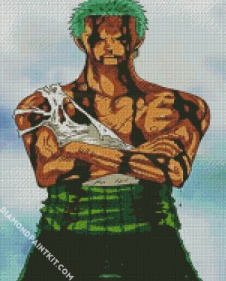 Roronoa Zoro Anime diamond painting