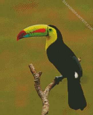 Toucan diamond painting