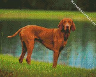 Vizsla diamond painting