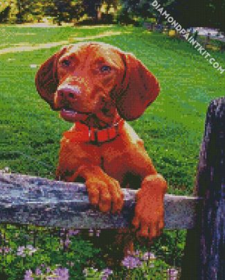 Vizsla Dog Breed diamond painting