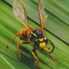 Wasp diamond painting