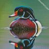 Waterfowl Bird diamond painting