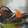 Waterfowl Bird diamond painting