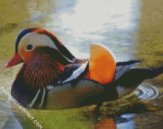 Waterfowl Bird diamond painting