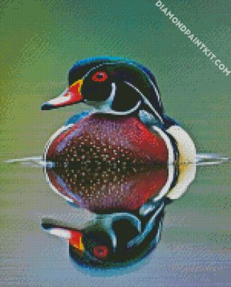 Waterfowl Bird diamond painting