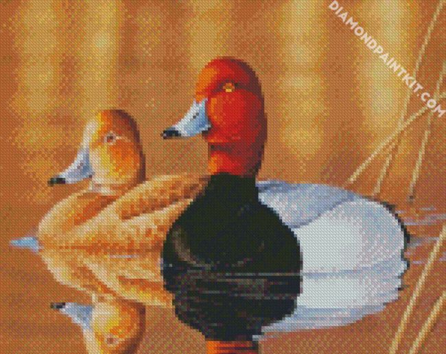 Waterfowls diamond painting