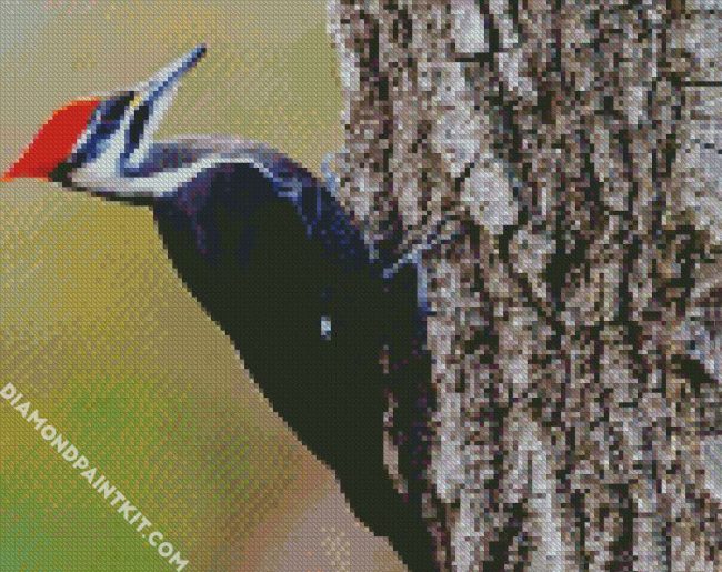 Woodpecker Bird diamond painting