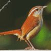 Wren diamond painting