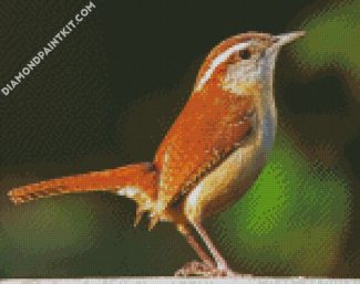 Wren diamond painting