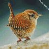 Wren Bird diamond painting