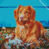 Adorable Toller diamond painting