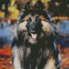 Aesthetic Belgian Tervuren diamond painting