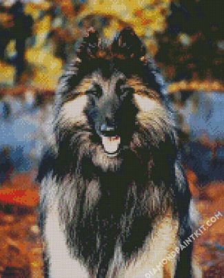 Aesthetic Belgian Tervuren diamond painting