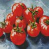 Aesthetic Tomatoes diamond painting