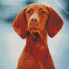 Aesthetic Vizsla Dog diamond painting