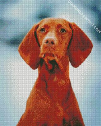 Aesthetic Vizsla Dog diamond painting