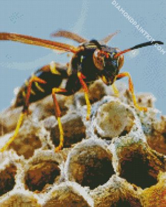 Aesthetic Wasp Insect diamond painting