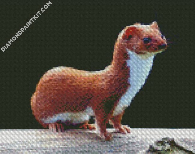 Aesthetic Weasel diamond painting