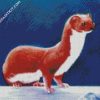 Aesthetic Weasel Animal diamond painting