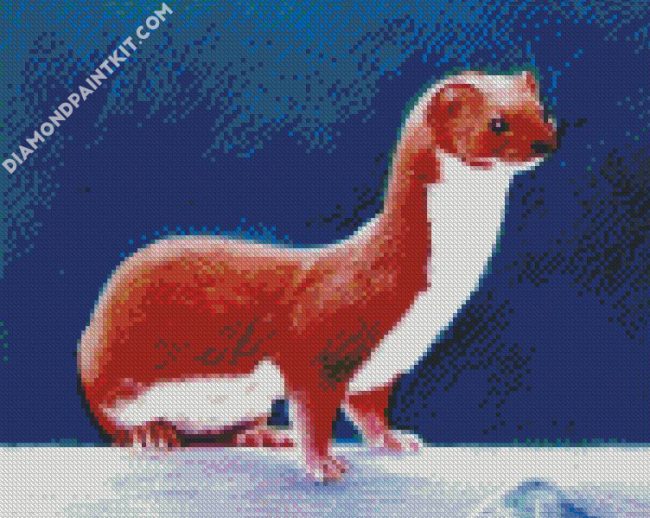 Aesthetic Weasel Animal diamond painting