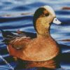 Aesthetic Wigeon Bird diamond painting