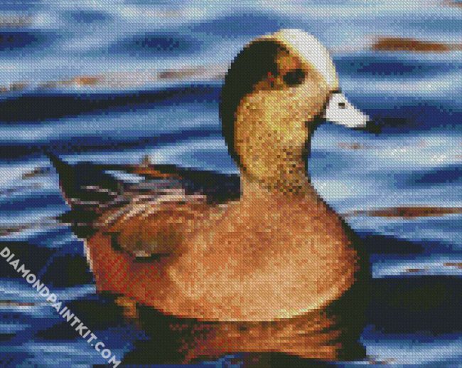 Aesthetic Wigeon Bird diamond painting