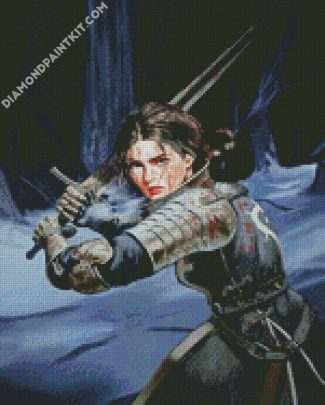 Aesthetic Beautiful Warrior Lady diamond painting