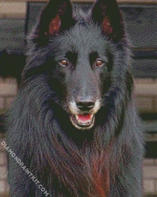 Aesthetic Black Belgian Tervuren diamond painting