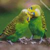 Aesthetic Budgerigars diamond painting