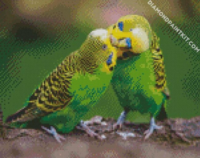 Aesthetic Budgerigars diamond painting