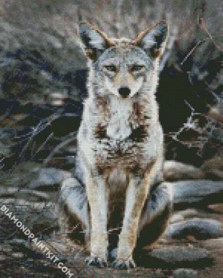 Aesthetic Coyote diamond painting