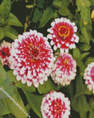 Aesthetic Zinnias diamond painting