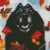 Black Tervuren And Leaves diamond painting