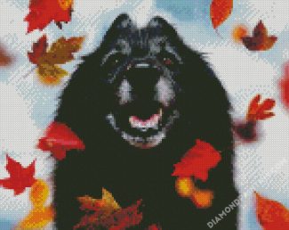 Black Tervuren And Leaves diamond painting